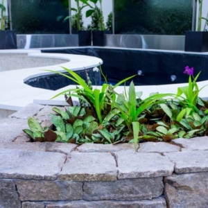 Pool Spa and Outdoor Living Expo 2019